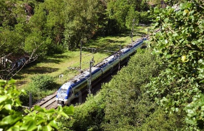 TEMPÊTES. Trafic ferroviaire interrompu sur la ligne Lyon Saint-Etienne – .