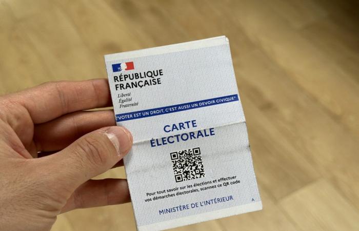 Elections législatives 2024. Les résultats dans la 4ème circonscription des Pyrénées-Orientales – .