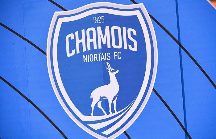 Chamois Niortais – Les Ultras appellent à l’aide pour sauver le club