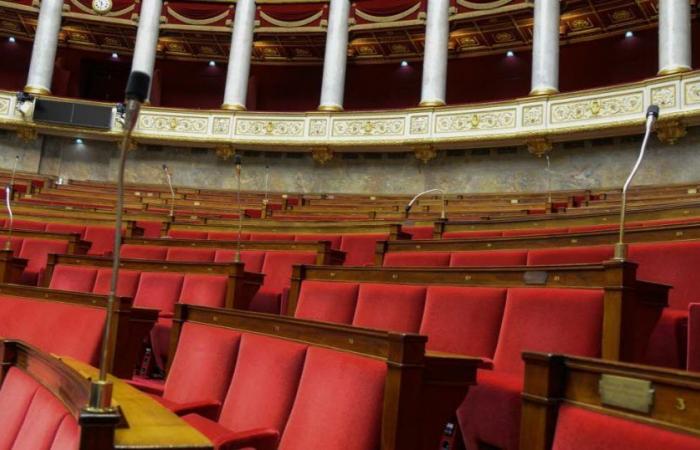 Législatif. Vers une majorité absolue pour le Rassemblement national à l’Assemblée ? – .
