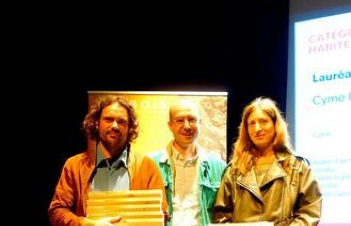 Cyme remporte le prix régional Fibois