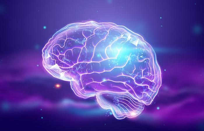 Des scientifiques de Johns Hopkins découvrent des bienfaits surprenants pour la santé du cerveau.