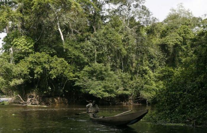 En Côte d’Ivoire, un accident industriel fait craindre une pollution fluviale au cyanure à grande échelle – .