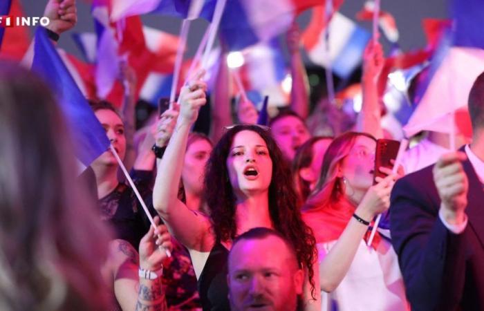 Qui sont les 10,6 millions de Français qui ont voté pour le RN et ses alliés ? – .