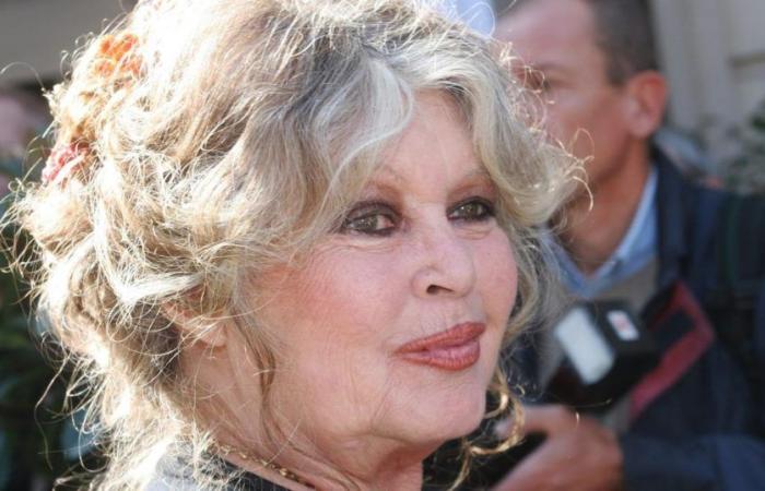 Brigitte Bardot se confie à ses arrière-petits-enfants – .