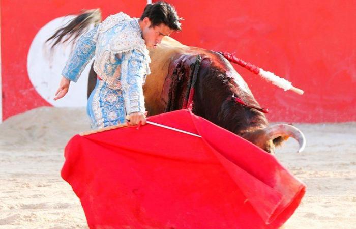 Le plus grand cru de la Feria de Boujan pour l’acte VIII de « toros y campo » – .