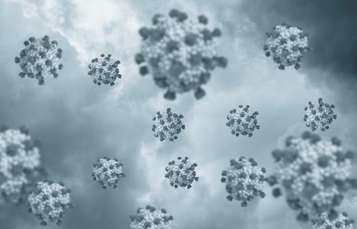 Des centaines de personnes infectées par le norovirus dans la région du lac de Garde