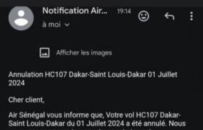 Sans précédent! Air Sénégal annule son vol et propose un bus à ses clients