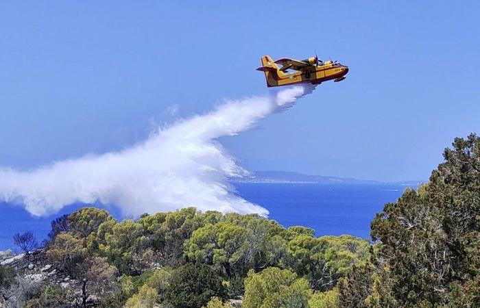 Le Premier ministre grec met en garde contre les incendies de forêt cet été