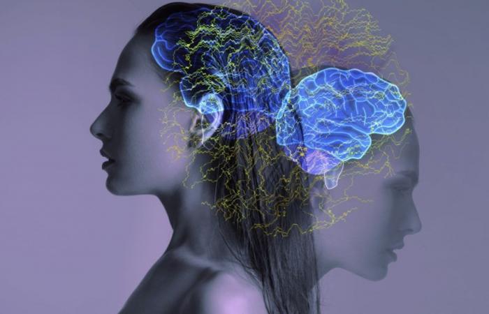 Les scanners cérébraux peuvent identifier 6 types de dépression