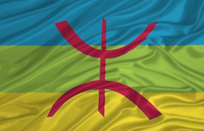 Tamazight enfin introduit dans Google Translate