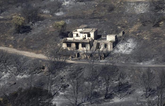 deux grands incendies de forêt dans la région d’Athènes, un été difficile en perspective – .