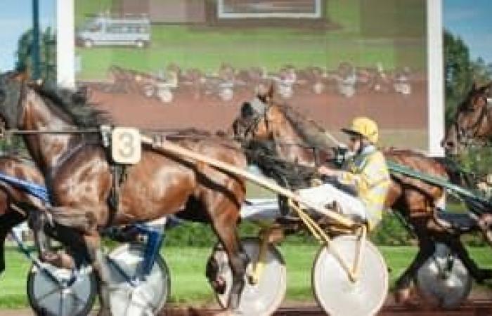 Prédictions des courses de chevaux pour le mardi 2 juillet 2024 – .