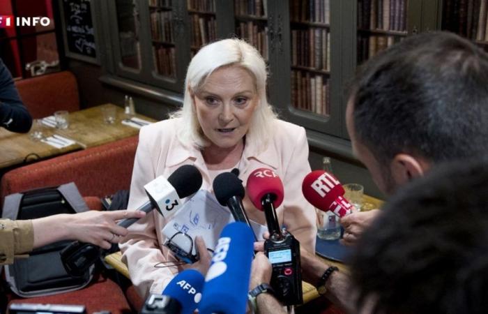 Qui est cet autre Le Pen qui brigue un siège à l’Assemblée nationale ? – .