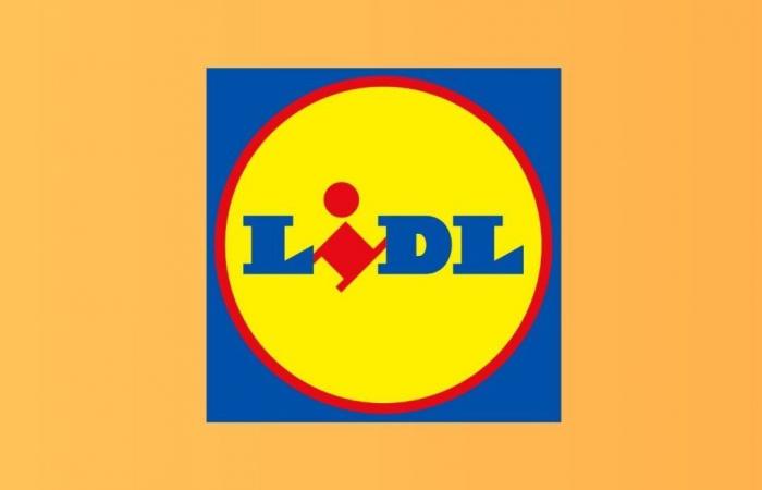 Lidl propose des remises exceptionnelles sur ses produits phares pendant les soldes – .