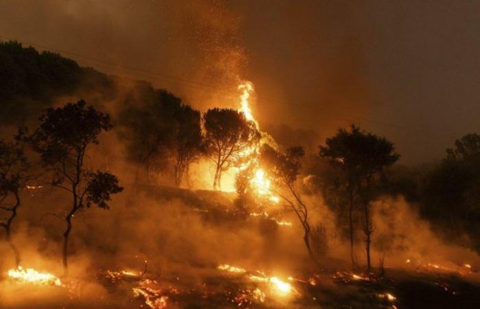 Deux incendies de forêt font rage dans le nord-ouest de la Grèce