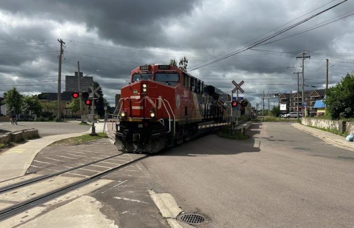 Un piéton décède après avoir été heurté par un train à Moncton – .