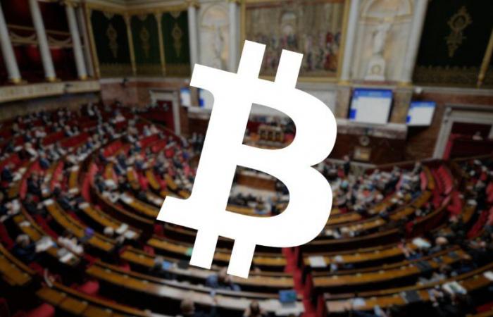 Les résultats de la candidature Bitcoin d’Aurore Galves « au-delà des attentes » – .