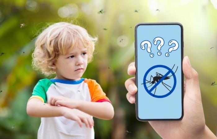 Faut-il télécharger des applications « anti-moustiques » cet été ? – .