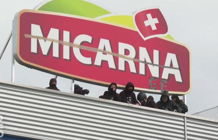 Les antispécistes qui ont bloqué un abattoir Micarna évacués par la police – rts.ch – .