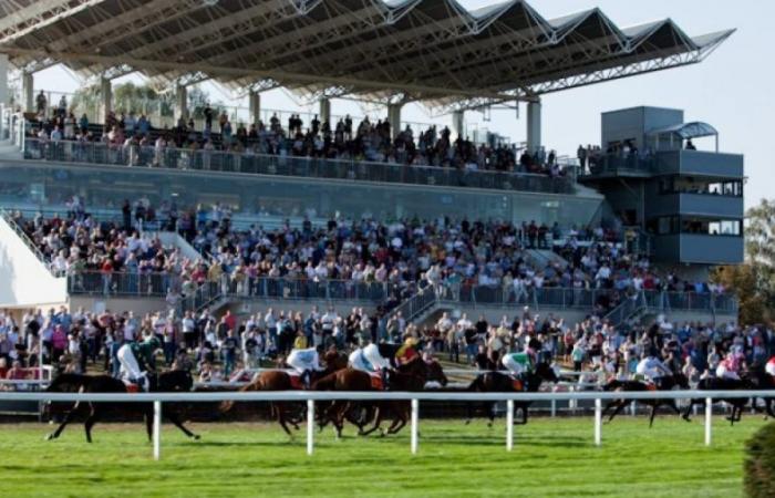 Prédictions des courses de chevaux pour le lundi 1er juillet 2024 – .