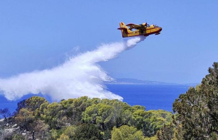 Deux incendies majeurs près d’Athènes annoncent un été difficile