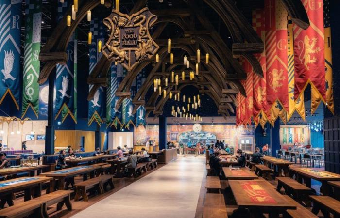 un immense événement mondial autour d’Harry Potter va envahir Lyon cet été – .