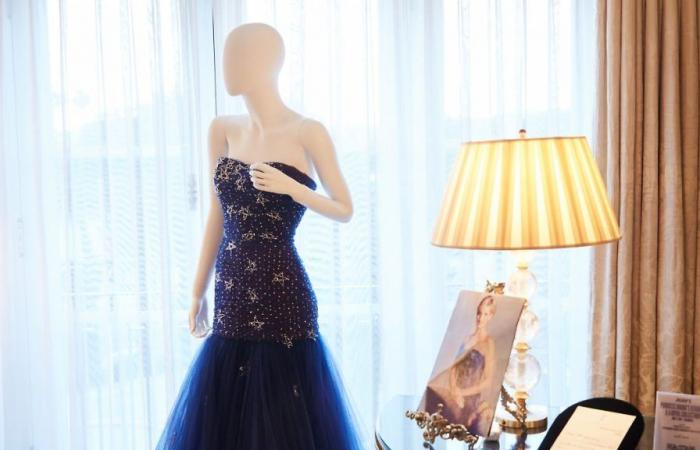 La garde-robe de luxe de la princesse Diana vendue aux enchères pour des millions – .