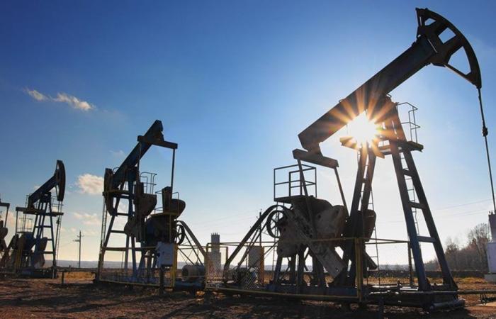 L’Arabie saoudite annonce la découverte de nouveaux gisements de pétrole et de gaz – .