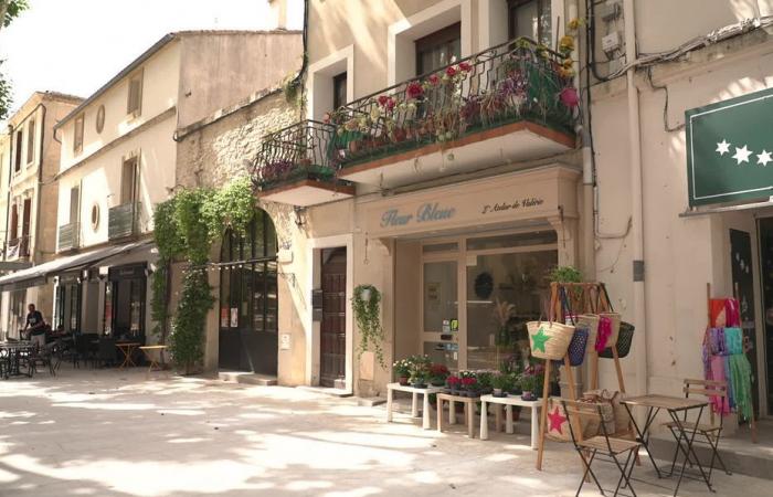 Cette ville moyenne tente de se faire une place à proximité de Montpellier – .