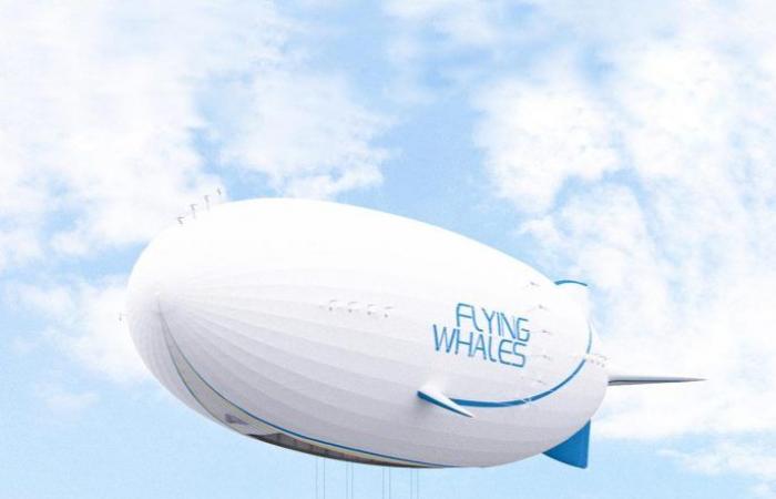 Flying Whales se mobilise pour faire décoller son projet – .