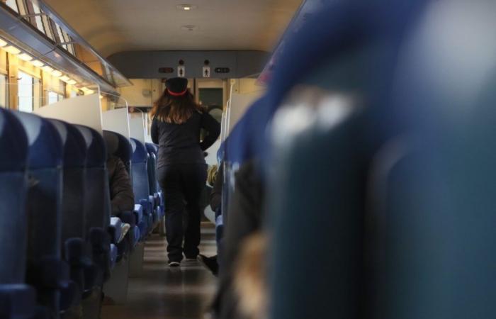Terminus pénitentiaire pour un voyageur SNCF qui s’était enfermé dans les toilettes du train – .