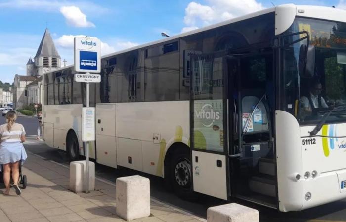 Vitalis améliore le service de bus pendant l’été et à la rentrée 2024 – .
