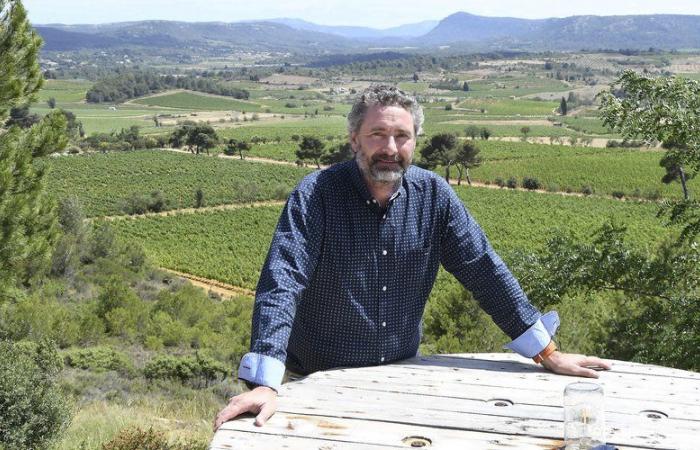 Pierre Bories devient président du Comité interprofessionnel des vins du Languedoc – .
