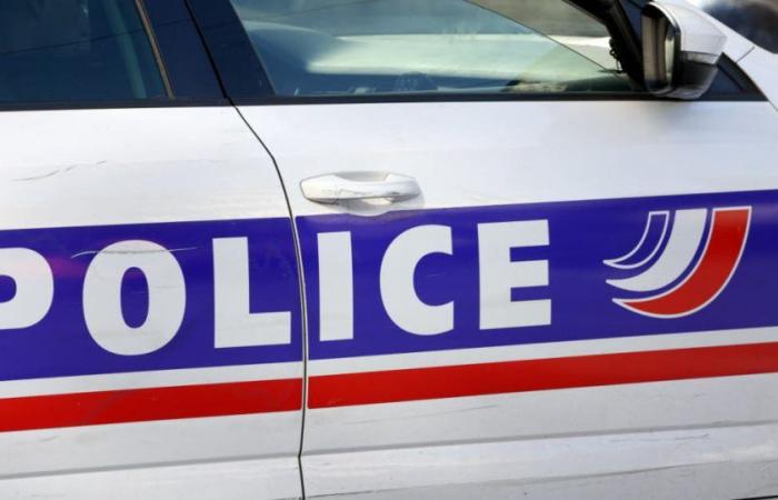 Seine-Saint-Denis. Un policier mis en examen et écroué pour meurtre