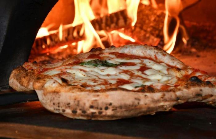Cette pizzeria appréciée des Italiens ouvre une nouvelle adresse à Bruxelles – .