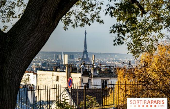 Où regarder gratuitement le feu d’artifice de la Tour Eiffel à Paris et aux alentours – .