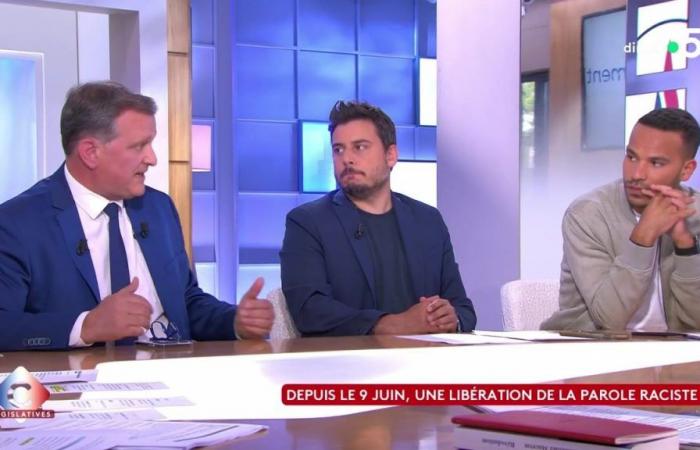 Louis Aliot parle d’un journaliste de l’émission, sans… – .
