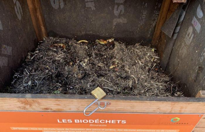 au camping de la Clape, les clients sont désormais invités à composter leurs biodéchets – .