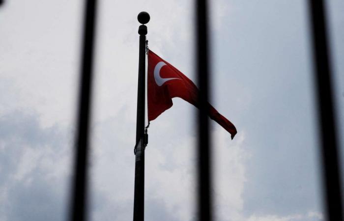 En Turquie, 474 personnes arrêtées après des émeutes visant la communauté syrienne – .