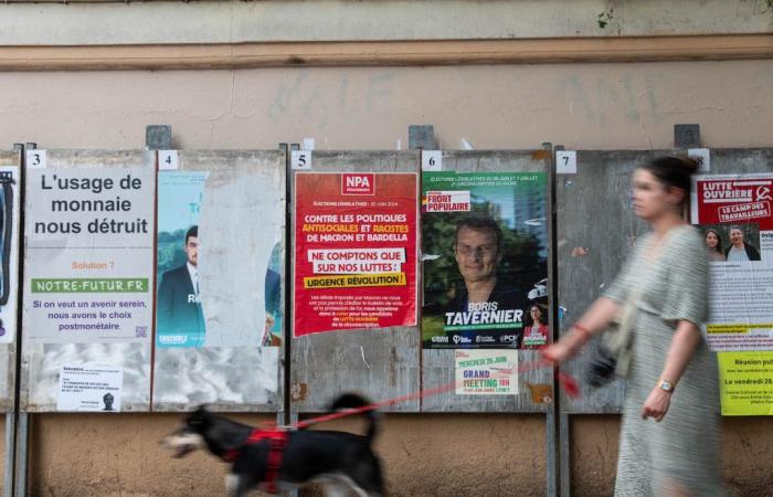 Oullins-Pierre-Bénite. Des militants du Nouveau Front Populaire choqués après des propos racistes – .