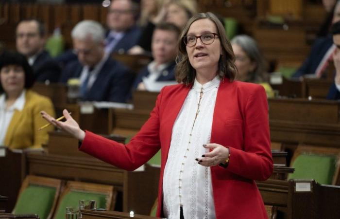 L’échec des libéraux à Toronto : les députés soulignent le manque de travail sur le terrain