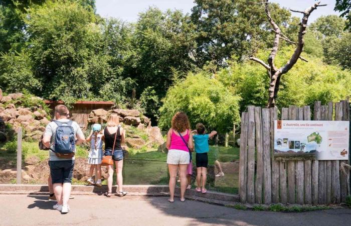 Saison estivale 2024 au Parc Zoologique et Botanique
