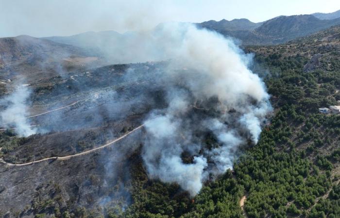 Incendies de forêt | Alors que les îles grecques brûlent, Athènes prévient que l’été sera « dangereux » – .