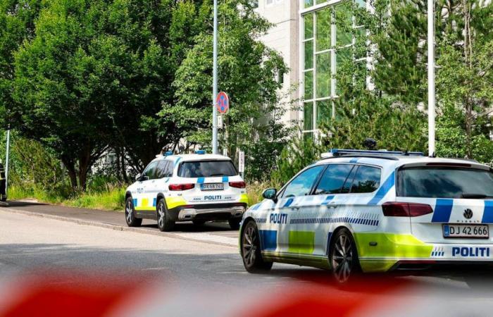 Près d’une tonne d’explosifs découverts par hasard au Danemark – .