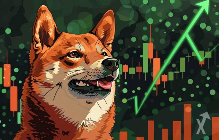 Le prix du Dogecoin (DOGE) peut-il déclencher une nouvelle hausse en juillet ? – .