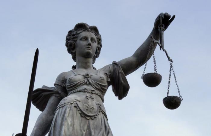 Un Roumain condamné à 30 ans de prison pour meurtre et viol – .