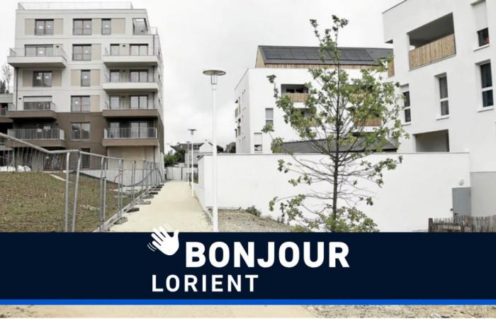 Bodélio, débat législatif, météo… Bonjour Lorient ! – .