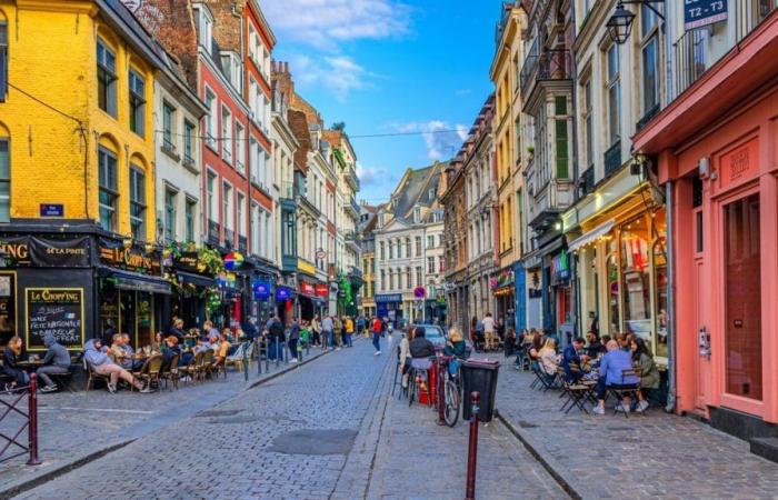 Voici officiellement les 10 bars où vous avez le plus de chances de rencontrer l’amour à Lille – .