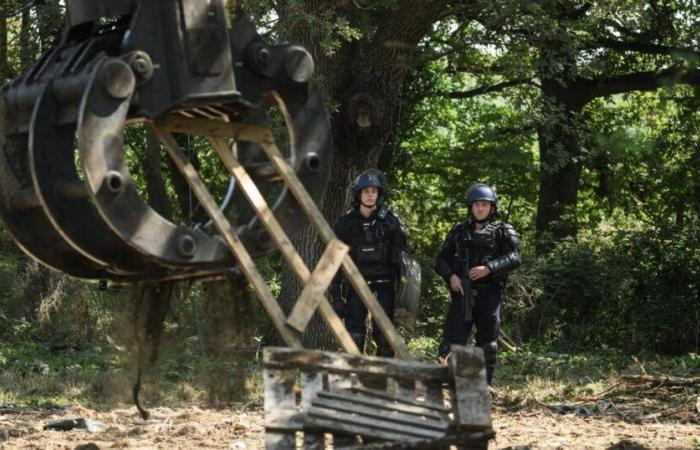 Près
      de
      60
      arbres
      abattus
      malgré
      la
      présence
      des
      opposants